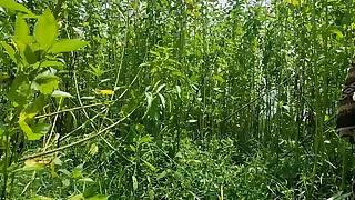 5309 anal sex porn videos