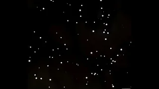 Hot sexual intercourse scene